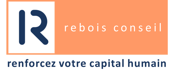 REBOIS CONSEIL